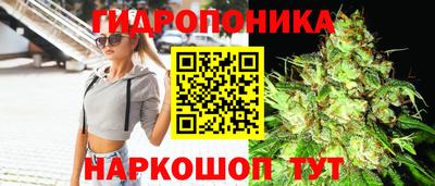 СК Рязань