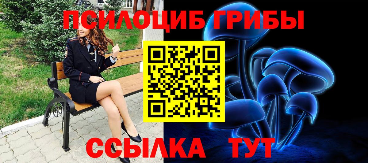Псилоцибиновые грибы Cubensis  Галлюциногенные грибы прущие грибы  Похвистнево  Вход с VPN 